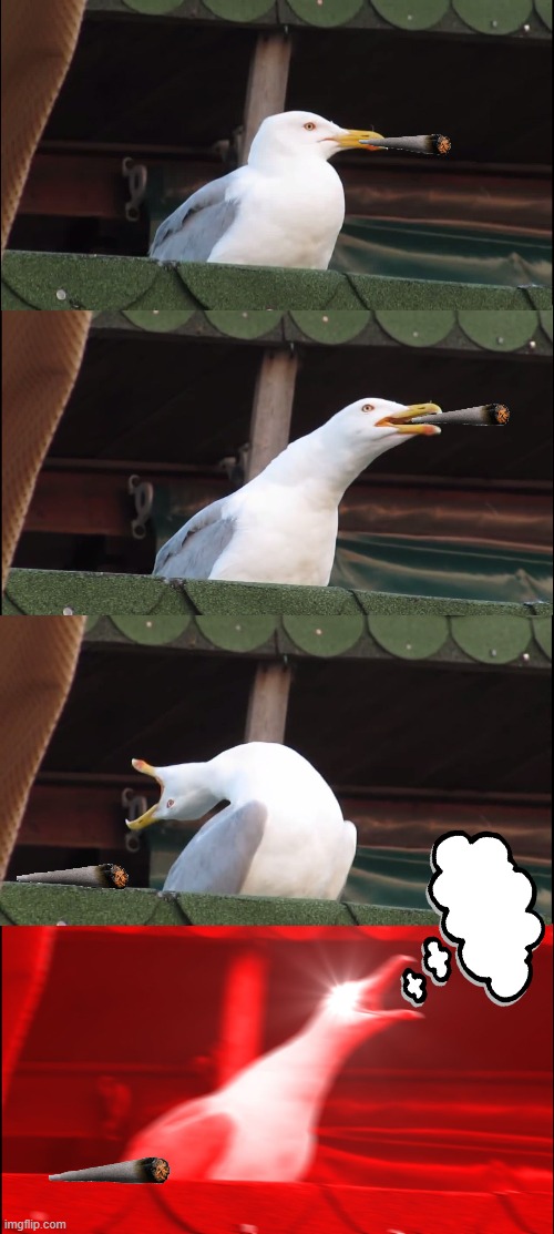 Inhaling Seagull | image tagged in memes,inhaling seagull | made w/ Imgflip meme maker