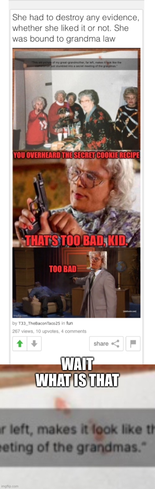 Credits to T33_TheBaconTaco25 | WAIT WHAT IS THAT | image tagged in grandma,guns | made w/ Imgflip meme maker
