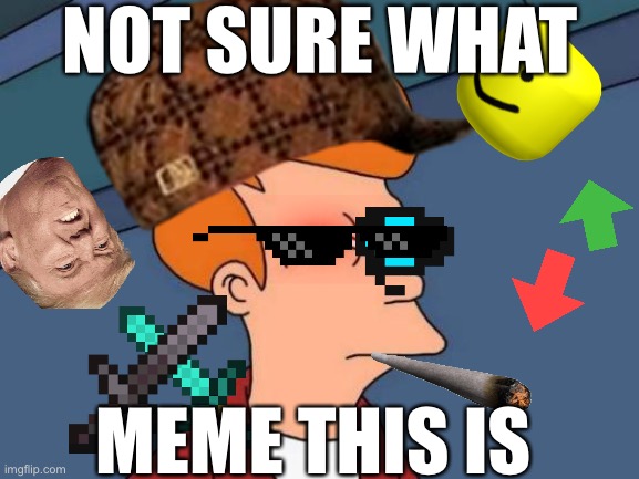 Really What Is It? | NOT SURE WHAT; MEME THIS IS | image tagged in futurama fry,memes,memes about memes | made w/ Imgflip meme maker
