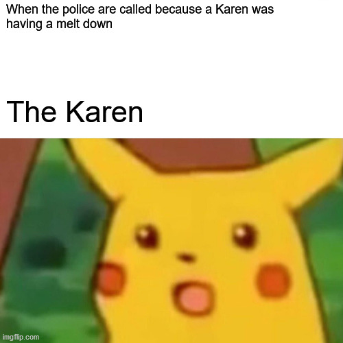 Surprised Pikachu | When the police are called because a Karen was 
having a melt down; The Karen | image tagged in memes,surprised pikachu | made w/ Imgflip meme maker