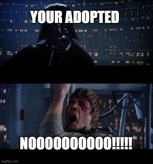 star wars | YOUR ADOPTED; NOOOOOOOOOO!!!!! | image tagged in memes,star wars no | made w/ Imgflip meme maker