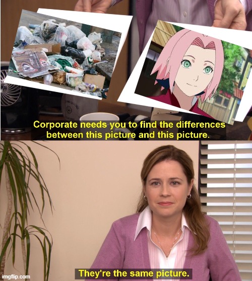 They're The Same Picture | image tagged in memes,they're the same picture,sakura,anime,naruto,sakura is useless | made w/ Imgflip meme maker