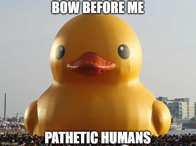 pathetic humans | BOW BEFORE ME; PATHETIC HUMANS | image tagged in bow,funny,memes,duck,rubber ducks | made w/ Imgflip meme maker