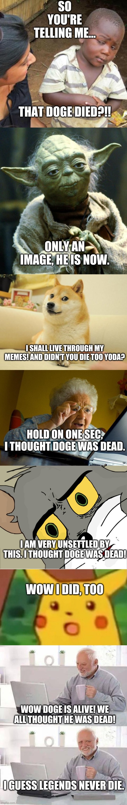 Only real memers will understand | SO YOU'RE TELLING ME... THAT DOGE DIED?!! ONLY AN IMAGE, HE IS NOW. I SHALL LIVE THROUGH MY MEMES! AND DIDN'T YOU DIE TOO YODA? HOLD ON ONE SEC, I THOUGHT DOGE WAS DEAD. I AM VERY UNSETTLED BY THIS. I THOUGHT DOGE WAS DEAD! WOW I DID, TOO; WOW DOGE IS ALIVE! WE ALL THOUGHT HE WAS DEAD! I GUESS LEGENDS NEVER DIE. | image tagged in memes,grandma finds the internet,third world skeptical kid,doge 2,star wars yoda,hide the pain harold | made w/ Imgflip meme maker