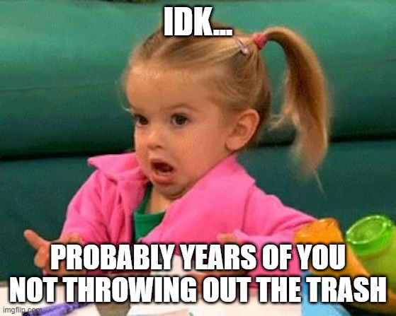 I don't know (Good Luck Charlie) | IDK... PROBABLY YEARS OF YOU NOT THROWING OUT THE TRASH | image tagged in i don't know good luck charlie | made w/ Imgflip meme maker
