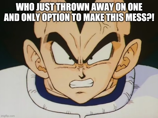 Angry Vegeta (DBZ) | WHO JUST THROWN AWAY ON ONE AND ONLY OPTION TO MAKE THIS MESS?! | image tagged in angry vegeta dbz | made w/ Imgflip meme maker