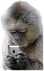 High Quality Monkey loves his Iphone Blank Meme Template