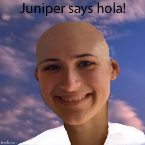 She says hi :D | image tagged in photoshop,bald | made w/ Imgflip meme maker