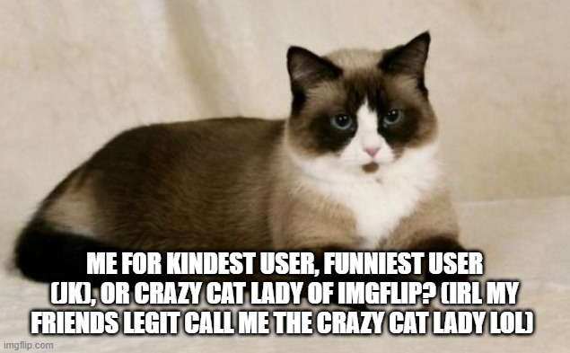 idk | ME FOR KINDEST USER, FUNNIEST USER (JK), OR CRAZY CAT LADY OF IMGFLIP? (IRL MY FRIENDS LEGIT CALL ME THE CRAZY CAT LADY LOL) | image tagged in cat | made w/ Imgflip meme maker