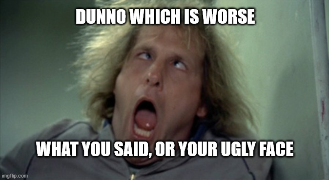 Scary Harry | DUNNO WHICH IS WORSE; WHAT YOU SAID, OR YOUR UGLY FACE | image tagged in memes,scary harry | made w/ Imgflip meme maker