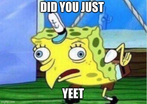 Mocking Spongebob Meme | DID YOU JUST YEET | image tagged in memes,mocking spongebob | made w/ Imgflip meme maker