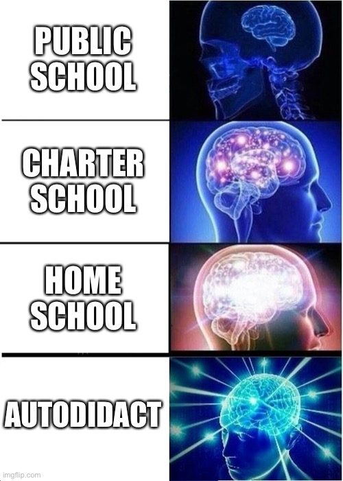 Get schooled | PUBLIC SCHOOL; CHARTER SCHOOL; HOME SCHOOL; AUTODIDACT | image tagged in memes,expanding brain | made w/ Imgflip meme maker