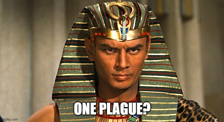 Pharaoh | ONE PLAGUE? | image tagged in pharaoh | made w/ Imgflip meme maker