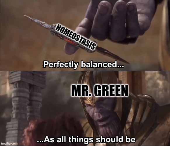 Mr. Green's weird love of homeostasis is almost concerning | HOMEOSTASIS; MR. GREEN | image tagged in thanos perfectly balanced as all things should be,homeostasis | made w/ Imgflip meme maker