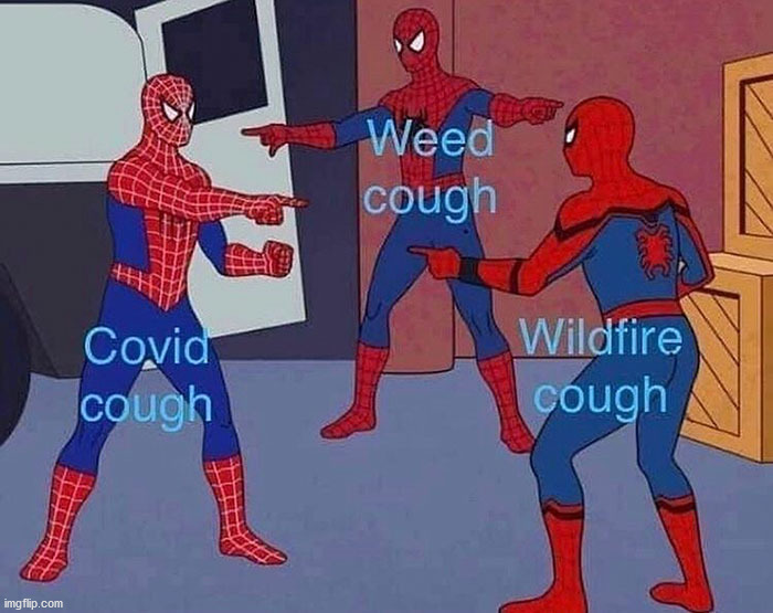 What is causing your cough? Mine is the wildfires. | image tagged in repost | made w/ Imgflip meme maker