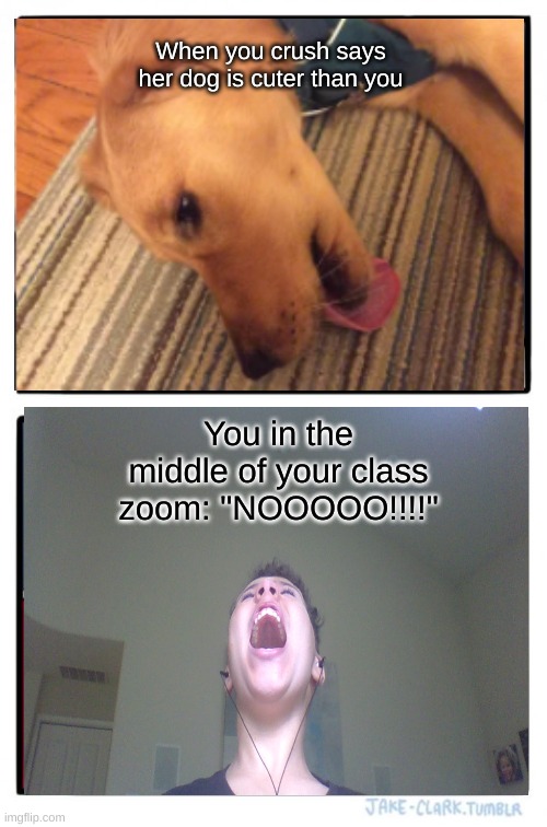 You got crushed BY YOUR OWN CRUSH | When you crush says her dog is cuter than you; You in the middle of your class zoom: "NOOOOO!!!!" | image tagged in memes,two buttons | made w/ Imgflip meme maker