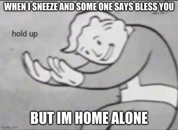 Fallout Hold Up | WHEN I SNEEZE AND SOME ONE SAYS BLESS YOU; BUT IM HOME ALONE | image tagged in fallout hold up | made w/ Imgflip meme maker