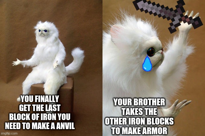 Persian Cat Room Guardian Meme | YOUR BROTHER TAKES THE OTHER IRON BLOCKS TO MAKE ARMOR; YOU FINALLY GET THE LAST BLOCK OF IRON YOU NEED TO MAKE A ANVIL | image tagged in memes,persian cat room guardian | made w/ Imgflip meme maker