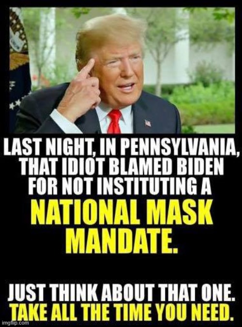 yah exactly cuz bidens not preisdent haha what a loser | image tagged in face mask,conservative hypocrisy,trump is a moron,trump is an asshole,donald trump is an orangutan,repost | made w/ Imgflip meme maker
