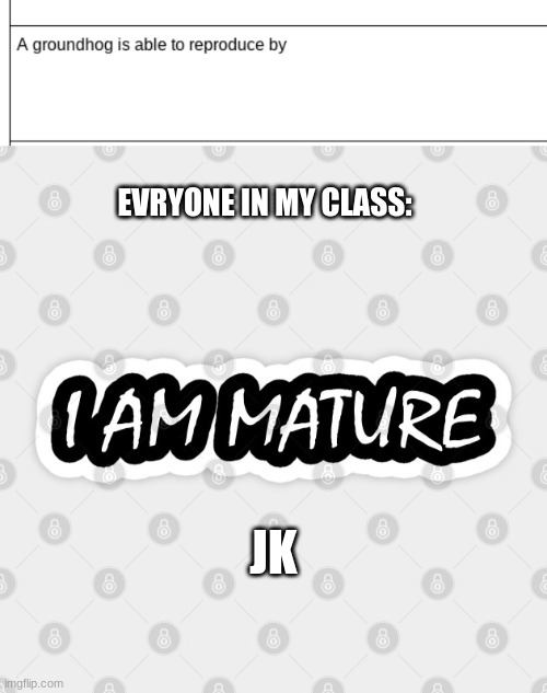 i am mature | EVRYONE IN MY CLASS:; JK | image tagged in memes | made w/ Imgflip meme maker