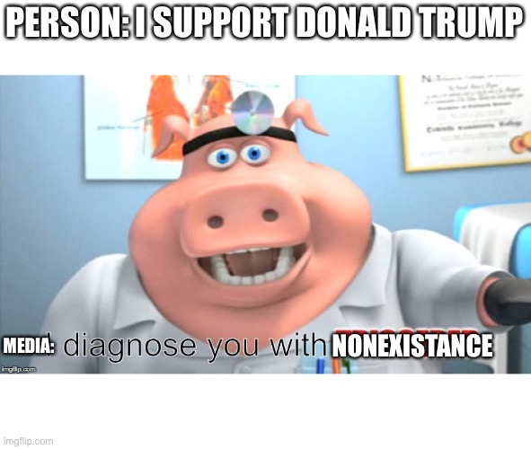 Media: | PERSON: I SUPPORT DONALD TRUMP; NONEXISTANCE; MEDIA: | image tagged in i diagnose you with triggered,memes,funny,gifs | made w/ Imgflip meme maker