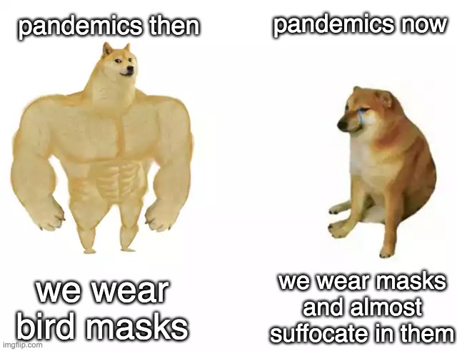 mmmmmmmmmmmmmmmmmmmmmmmmmm | pandemics now; pandemics then; we wear bird masks; we wear masks and almost suffocate in them | image tagged in buff doge vs cheems | made w/ Imgflip meme maker