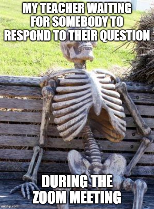 Like everybody is on mute and has their camera off it is so strange | MY TEACHER WAITING FOR SOMEBODY TO RESPOND TO THEIR QUESTION; DURING THE ZOOM MEETING | image tagged in memes,waiting skeleton | made w/ Imgflip meme maker