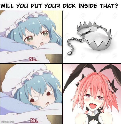 Would You? | image tagged in astolfo,traps,anime,memes,no | made w/ Imgflip meme maker