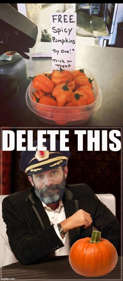 no | DELETE THIS | image tagged in most obviously interesting pumpkin,peppers,pumpkin,spicy,spicy memes,delete this | made w/ Imgflip meme maker
