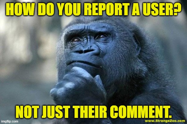 Deep Thoughts | HOW DO YOU REPORT A USER? NOT JUST THEIR COMMENT. | image tagged in deep thoughts,memes,help | made w/ Imgflip meme maker
