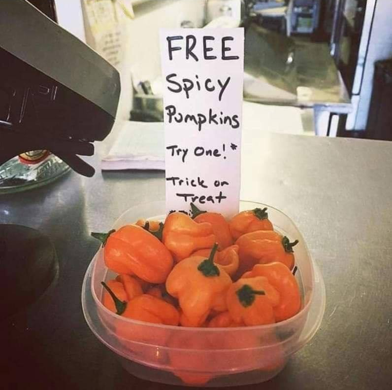 Free spicy pumpkins Blank Meme Template