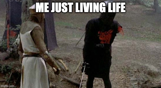 Tis but a scratch | ME JUST LIVING LIFE | image tagged in tis but a scratch | made w/ Imgflip meme maker