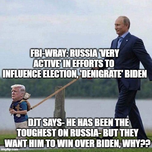 Putin trump leash | FBI-WRAY: RUSSIA 'VERY ACTIVE' IN EFFORTS TO 
INFLUENCE ELECTION, 'DENIGRATE' BIDEN; DJT SAYS- HE HAS BEEN THE TOUGHEST ON RUSSIA- BUT THEY WANT HIM TO WIN OVER BIDEN, WHY?? | image tagged in putin trump leash | made w/ Imgflip meme maker