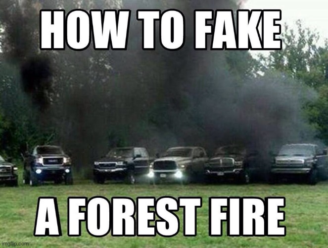 Trucks and forest fires | image tagged in friends,so true,hey internet | made w/ Imgflip meme maker