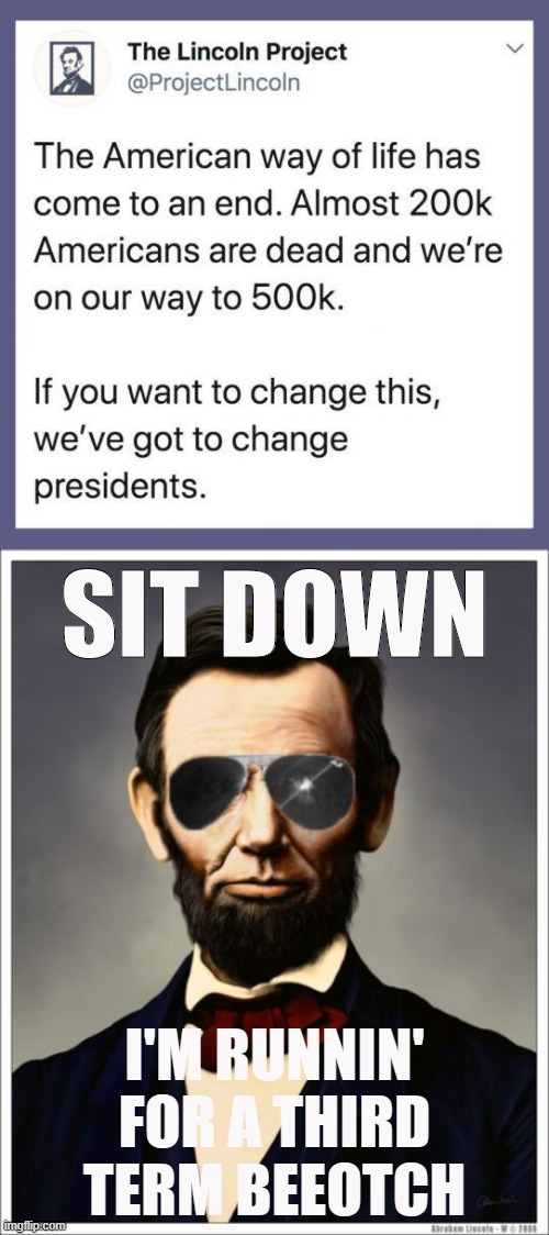 umm i have questions about this lincoln project | SIT DOWN; I'M RUNNIN' FOR A THIRD TERM BEEOTCH | image tagged in abraham lincoln,lincoln,abe lincoln,election 2020,2020 elections,political humor | made w/ Imgflip meme maker