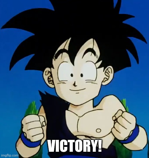 Amused Gohan (DBZ) | VICTORY! | image tagged in amused gohan dbz | made w/ Imgflip meme maker