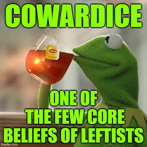 But That's None Of My Business Meme | COWARDICE ONE OF
 THE FEW CORE BELIEFS OF LEFTISTS | image tagged in memes,but that's none of my business,kermit the frog | made w/ Imgflip meme maker