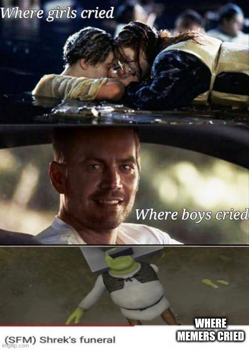 Where girls cried | WHERE MEMERS CRIED | image tagged in where girls cried | made w/ Imgflip meme maker