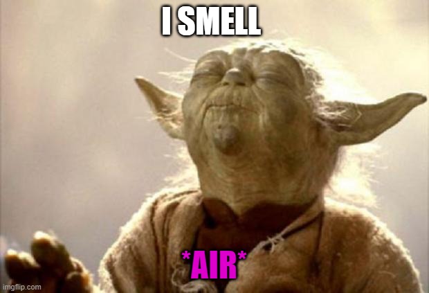 yoda smell | I SMELL; *AIR* | image tagged in yoda smell | made w/ Imgflip meme maker