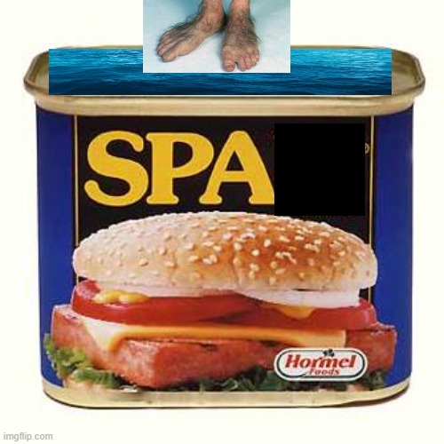 Spa | image tagged in spam | made w/ Imgflip meme maker