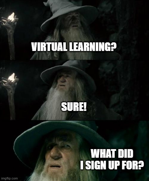Virtual learning | VIRTUAL LEARNING? SURE! WHAT DID I SIGN UP FOR? | image tagged in memes,confused gandalf | made w/ Imgflip meme maker