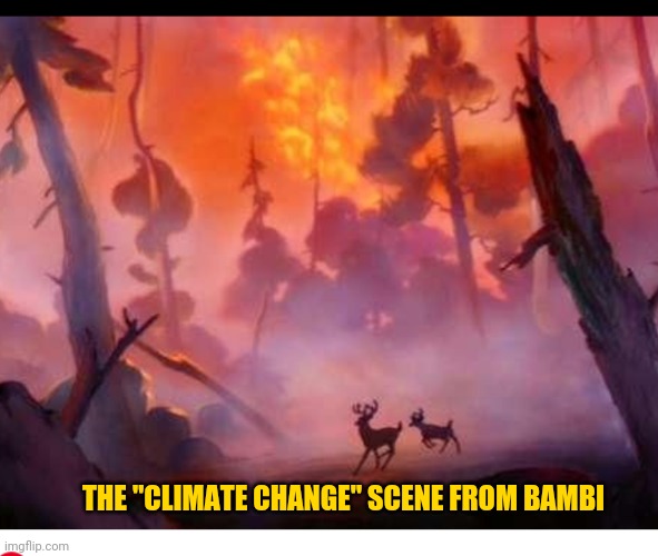 Bambi | THE "CLIMATE CHANGE" SCENE FROM BAMBI | image tagged in memes | made w/ Imgflip meme maker