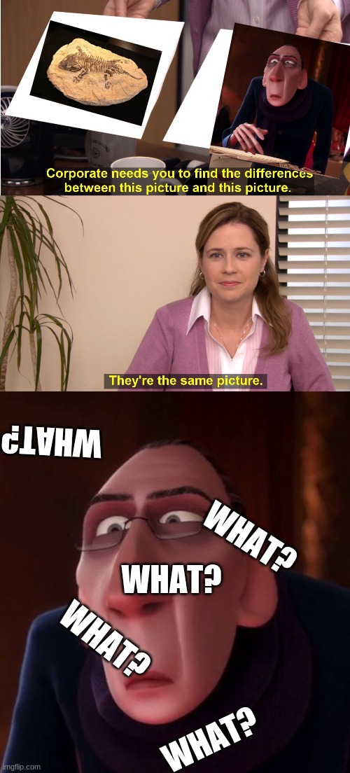 anton ego | WHAT? WHAT? WHAT? WHAT? WHAT? | image tagged in memes,they're the same picture | made w/ Imgflip meme maker