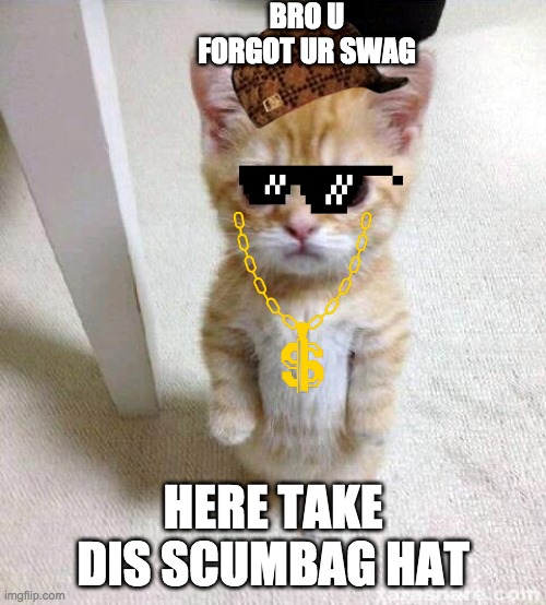 Cute Cat Meme | BRO U FORGOT UR SWAG; HERE TAKE DIS SCUMBAG HAT | image tagged in memes,cute cat | made w/ Imgflip meme maker