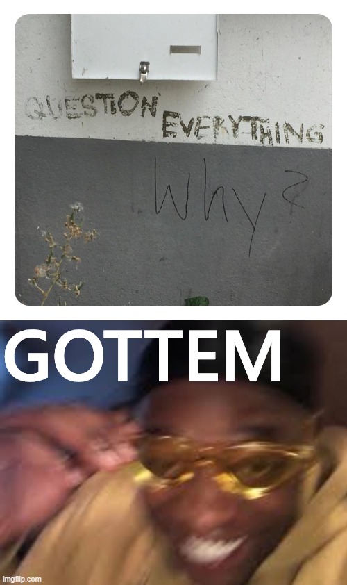 “Question everything”: am i doing this right? | GOTTEM | image tagged in black guy golden glasses,question everything why,question,philosophy,why,why not | made w/ Imgflip meme maker