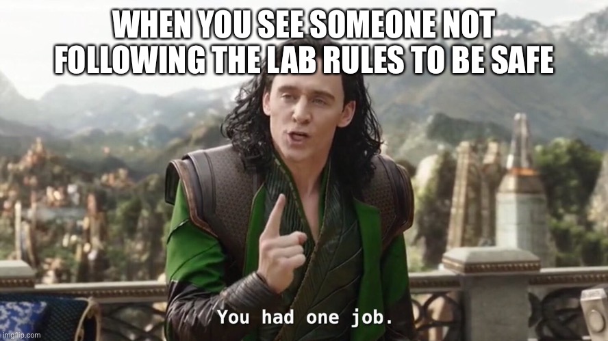 You had one job. Just the one | WHEN YOU SEE SOMEONE NOT FOLLOWING THE LAB RULES TO BE SAFE | image tagged in you had one job just the one | made w/ Imgflip meme maker