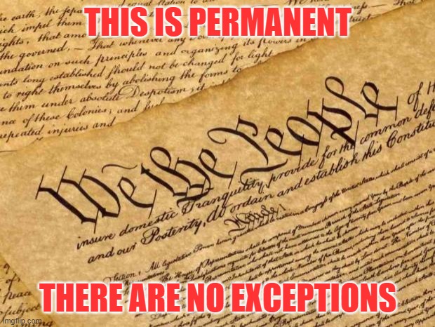 Constitution | THIS IS PERMANENT THERE ARE NO EXCEPTIONS | image tagged in constitution | made w/ Imgflip meme maker