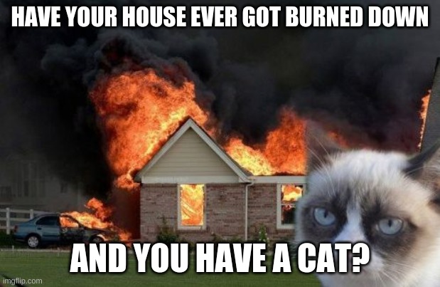 Burn Kitty Meme | HAVE YOUR HOUSE EVER GOT BURNED DOWN; AND YOU HAVE A CAT? | image tagged in memes,burn kitty,grumpy cat | made w/ Imgflip meme maker
