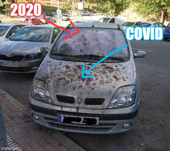 2020 with suprise | 2020; COVID | image tagged in 2020,covid19,coronavirus,crap,birdpoop | made w/ Imgflip meme maker