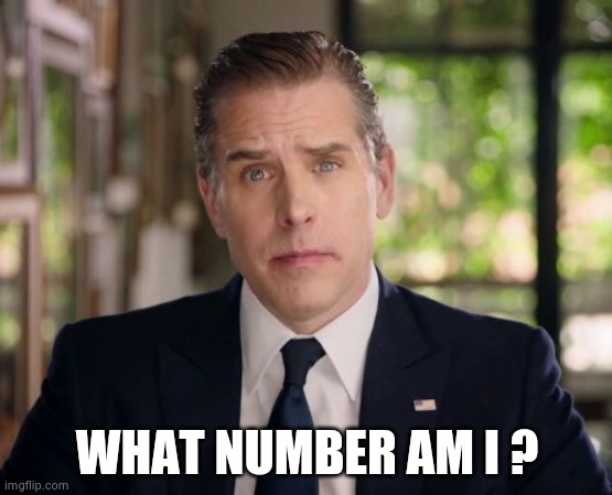 Hunter Biden junkie eyes | WHAT NUMBER AM I ? | image tagged in hunter biden junkie eyes | made w/ Imgflip meme maker